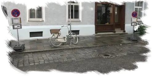 Halteverbotszone (HVZ) für Baumpflege